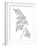 Fern Frond II-Hilary Armstrong-Framed Giclee Print