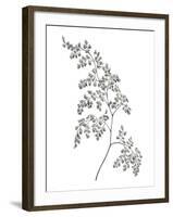 Fern Frond II-Hilary Armstrong-Framed Giclee Print