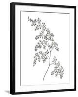 Fern Frond II-Hilary Armstrong-Framed Giclee Print