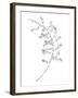 Fern Frond IV-Hilary Armstrong-Framed Giclee Print