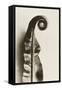 Fern Frond-Graeme Harris-Framed Stretched Canvas