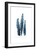 Fern Fronds Baltic Sea-Urban Epiphany-Framed Art Print