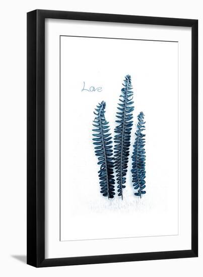 Fern Fronds Baltic Sea-Urban Epiphany-Framed Art Print