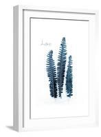 Fern Fronds Baltic Sea-Urban Epiphany-Framed Art Print