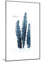 Fern Fronds Baltic Sea-Urban Epiphany-Mounted Art Print