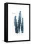 Fern Fronds Baltic Sea-Urban Epiphany-Framed Stretched Canvas
