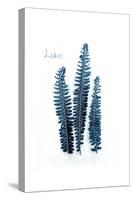 Fern Fronds Baltic Sea-Urban Epiphany-Stretched Canvas