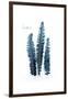 Fern Fronds Baltic Sea-Urban Epiphany-Framed Art Print