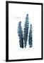 Fern Fronds Baltic Sea-Urban Epiphany-Framed Art Print