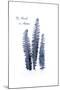 Fern Fronds Navy-Urban Epiphany-Mounted Art Print