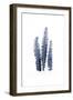 Fern Fronds Navy-Urban Epiphany-Framed Art Print