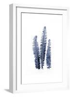 Fern Fronds Navy-Urban Epiphany-Framed Art Print