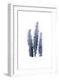 Fern Fronds Navy-Urban Epiphany-Framed Art Print