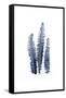 Fern Fronds Navy-Urban Epiphany-Framed Stretched Canvas