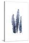 Fern Fronds Navy-Urban Epiphany-Stretched Canvas