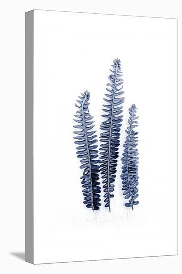 Fern Fronds Navy-Urban Epiphany-Stretched Canvas