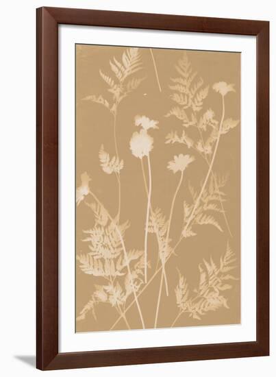 Fern Fronds-Sarah Cheyne-Framed Giclee Print