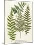 Fern Gathering I-Johann Wilhelm Weinmann-Mounted Art Print