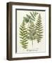 Fern Gathering I-Johann Wilhelm Weinmann-Framed Art Print