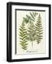 Fern Gathering I-Johann Wilhelm Weinmann-Framed Art Print