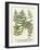 Fern Gathering II-Johann Wilhelm Weinmann-Framed Art Print