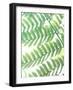 Fern Glow III-Jason Johnson-Framed Photographic Print