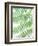 Fern Glow III-Jason Johnson-Framed Photographic Print