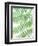 Fern Glow III-Jason Johnson-Framed Photographic Print