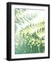 Fern Glow V-Jason Johnson-Framed Photographic Print