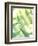 Fern Glow VI-Jason Johnson-Framed Photographic Print