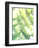 Fern Glow VI-Jason Johnson-Framed Photographic Print