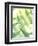 Fern Glow VI-Jason Johnson-Framed Photographic Print