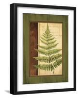 Fern Grotto I-Delphine Corbin-Framed Art Print