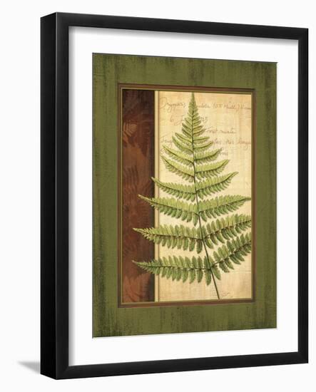 Fern Grotto I-Delphine Corbin-Framed Art Print