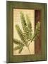 Fern Grotto II-Delphine Corbin-Mounted Art Print