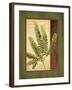 Fern Grotto II-Delphine Corbin-Framed Art Print