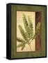 Fern Grotto II-Delphine Corbin-Framed Stretched Canvas