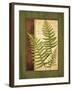 Fern Grotto III-Delphine Corbin-Framed Art Print