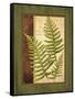 Fern Grotto III-Delphine Corbin-Framed Stretched Canvas