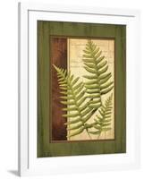 Fern Grotto III-Delphine Corbin-Framed Art Print