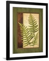 Fern Grotto III-Delphine Corbin-Framed Art Print