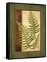 Fern Grotto III-Delphine Corbin-Framed Stretched Canvas