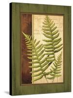 Fern Grotto III-Delphine Corbin-Stretched Canvas