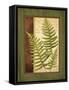 Fern Grotto III-Delphine Corbin-Framed Stretched Canvas