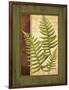 Fern Grotto III-Delphine Corbin-Framed Art Print