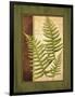 Fern Grotto III-Delphine Corbin-Framed Art Print