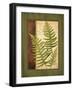 Fern Grotto III-Delphine Corbin-Framed Art Print