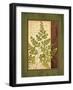 Fern Grotto IV-Delphine Corbin-Framed Art Print