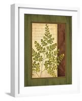 Fern Grotto IV-Delphine Corbin-Framed Art Print