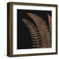 Fern I (on black)-null-Framed Art Print